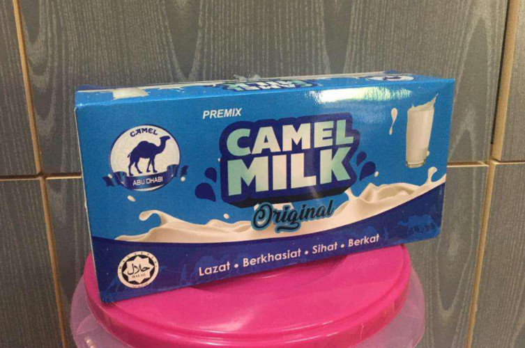 New Original Camel Milk Powder HALAL 10 Boxes (200 sachets x 25g) – Fast DHL