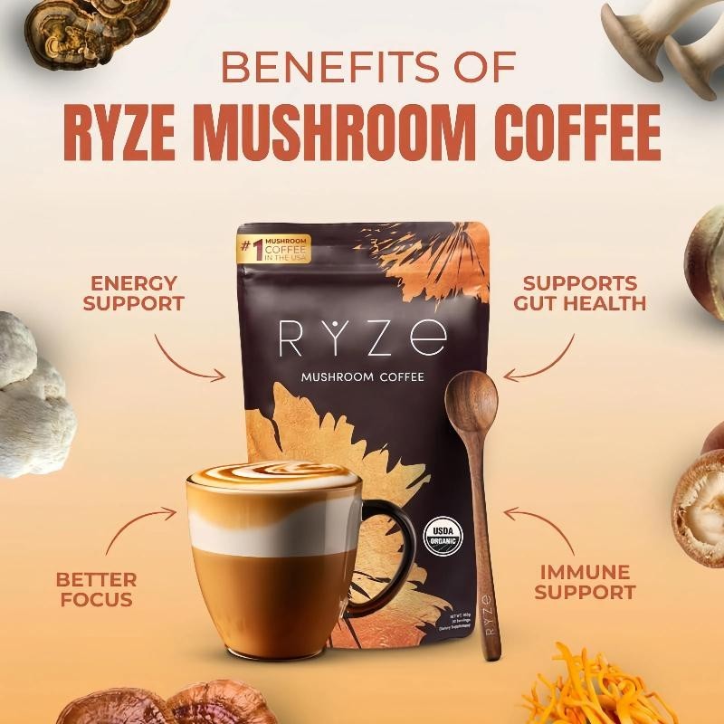 2PackMushroom Coffee Starter Kit, USDA Organic Instant Coffee with 6 Adaptogenic