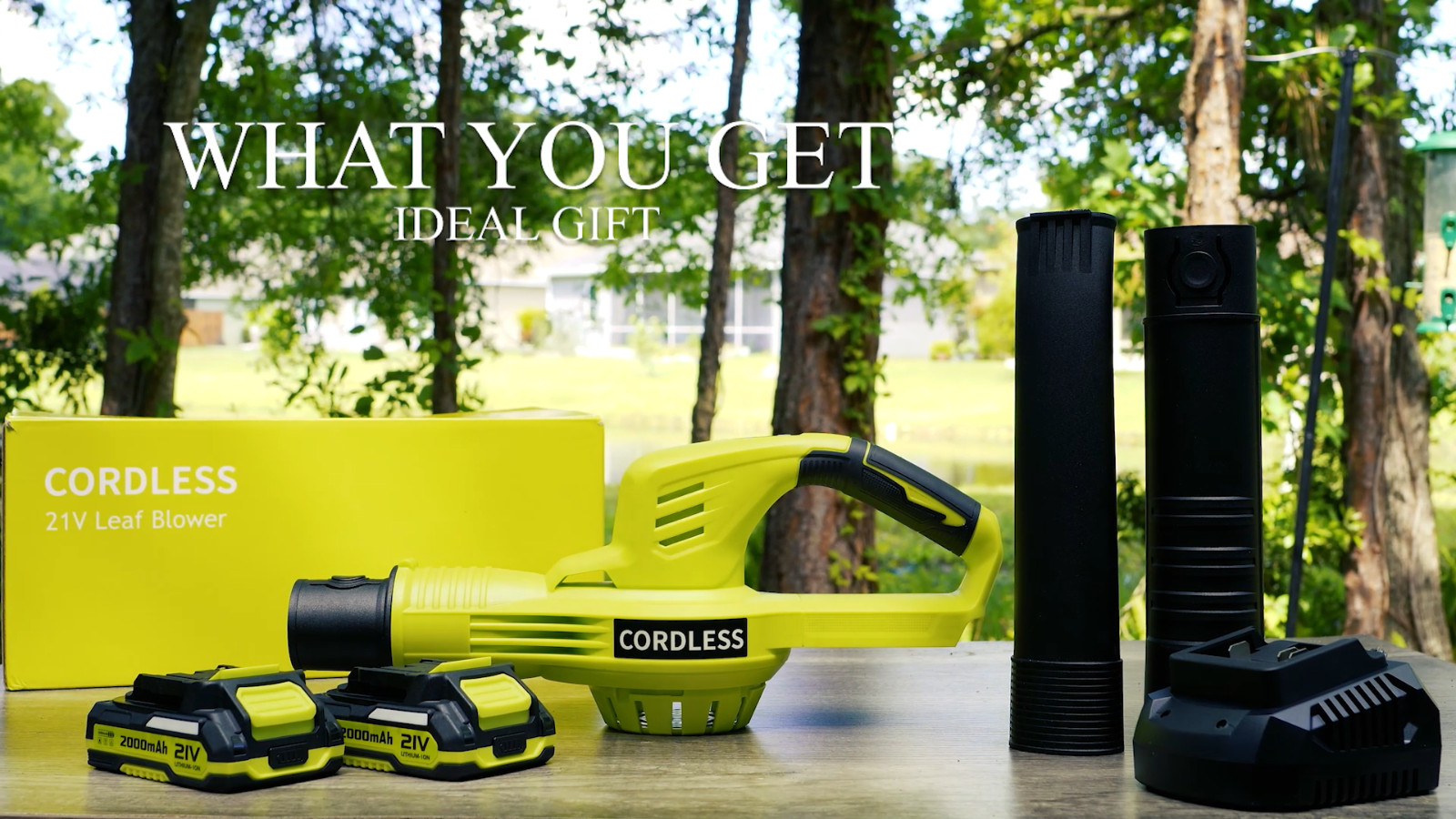 Cordless Leaf Blower 21V with 2 Batteries and Charger, 2 Speed Modes