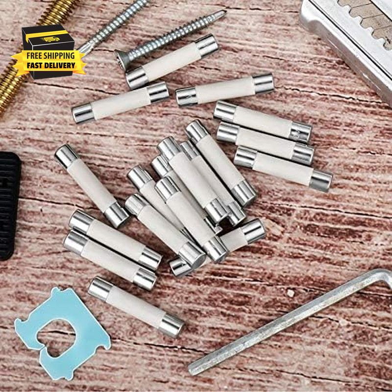10 Pieces Microwave Fuse 20 Amp 250V Slow-Blow Microwave 250V 20A 6.35 X 30 Mm C