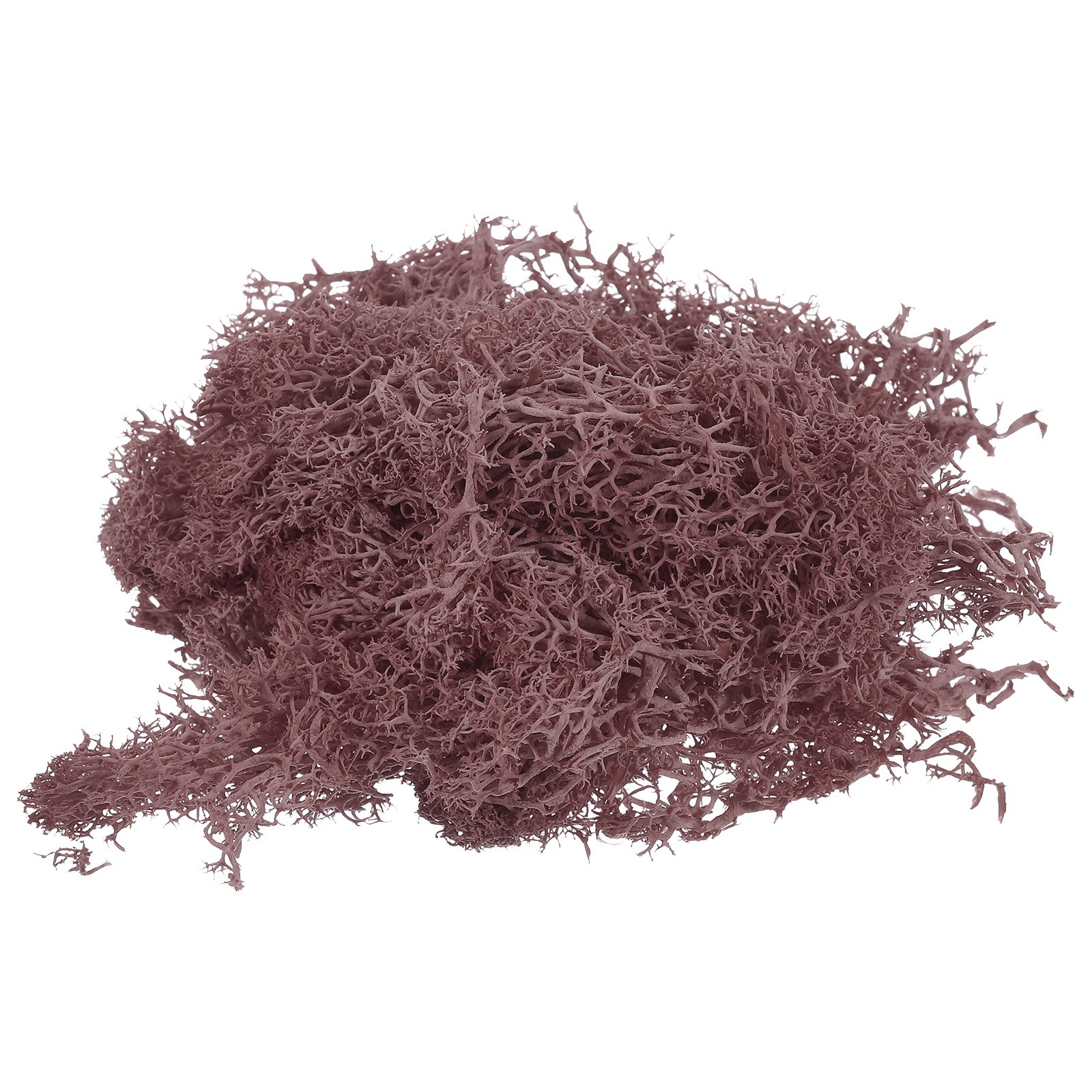 0.35 OZ Moss Preserved Moss Artificial Moss for Craft Floral Project Wine Red