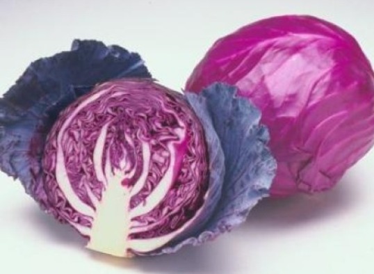 25 FRESH CABBAGE RED ACRE SEEDS FREE USA SHIPPING