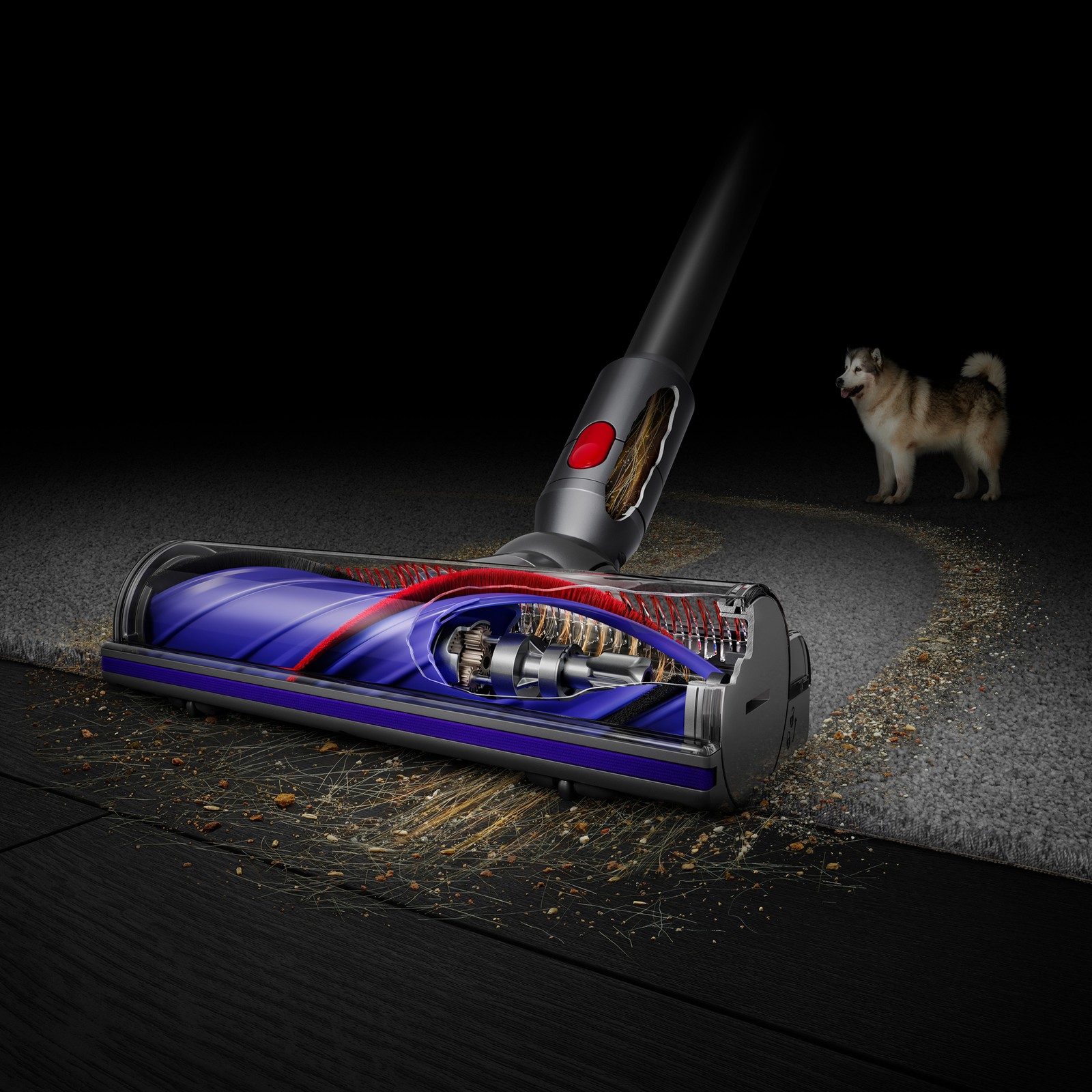 Dyson V11 Extra Cordless Vacuum Cleaner | Blue | Refurbished