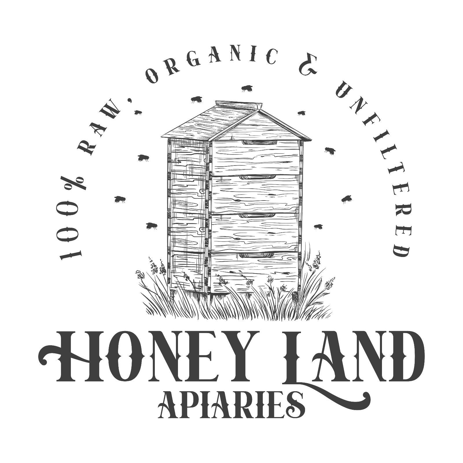 Raw Honey 2.5 lb (1.13kg) – 100% Raw, Wildflower, Local Organic, Unfiltered