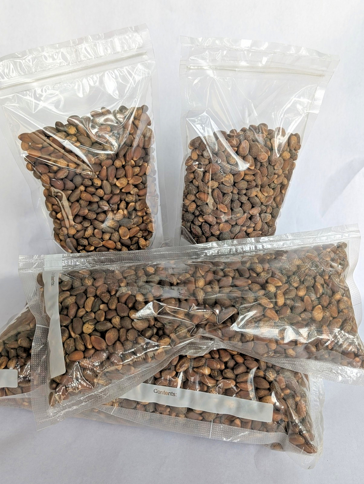 Piñon Pine Nuts, New Mexico Pinon, 2024, 8oz Raw | Navajo Nation, Zuni Mountains