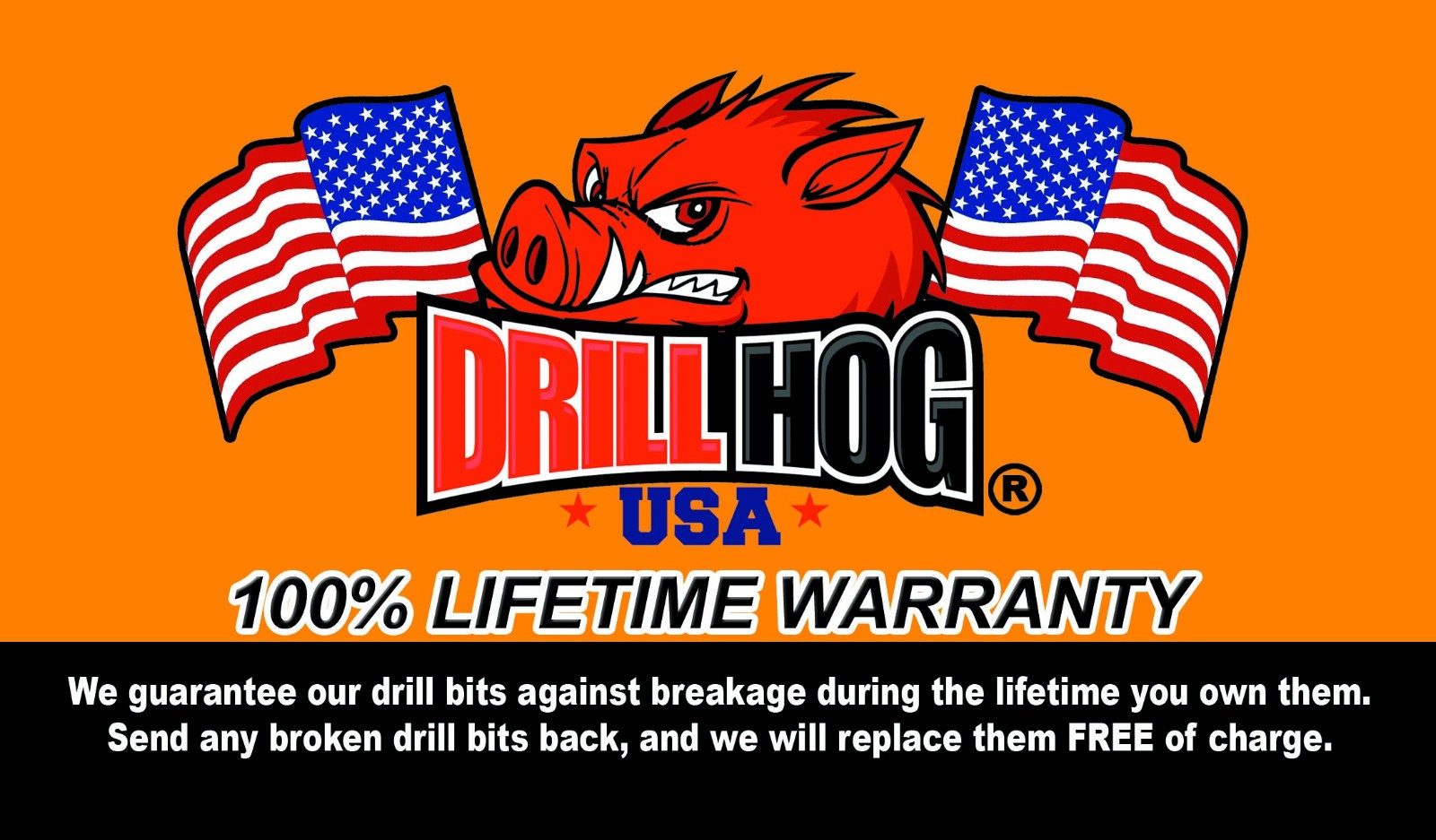 Drill Hog® #2 Phillips Insert Bit Screw 1/4″ Hex #2 x 1″ Lifetime Warranty 10 Pc