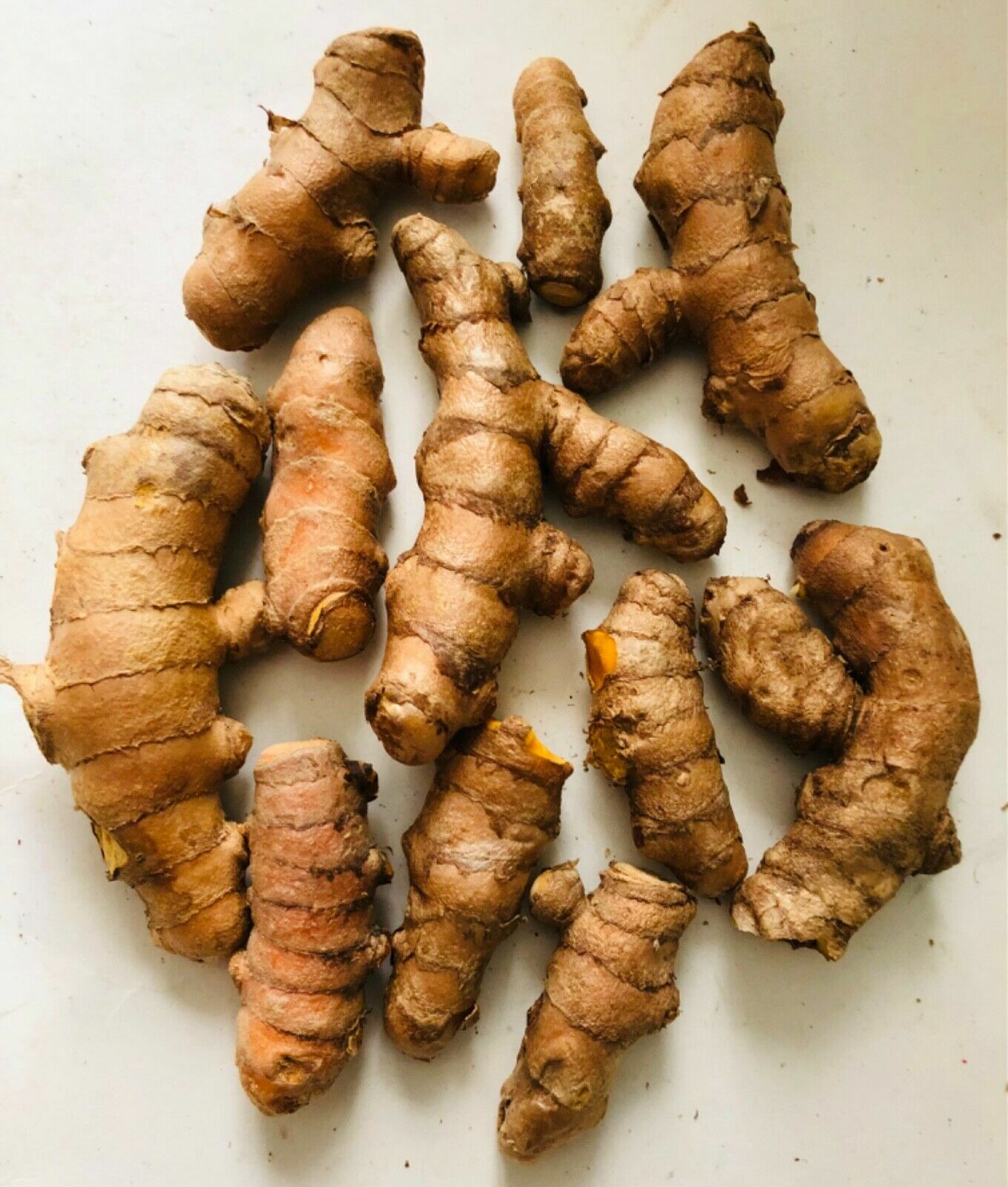 10PCS TUMERIC ROOTS FOR PLANT-CURCUMA LONGA-ARTHRITIS PAIN,MAKE TEA,COOKING