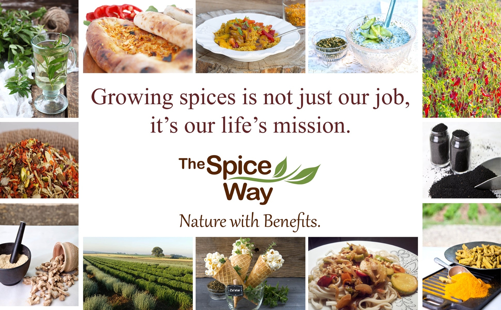 The Spice Way Cinnamon Ceylon Powder