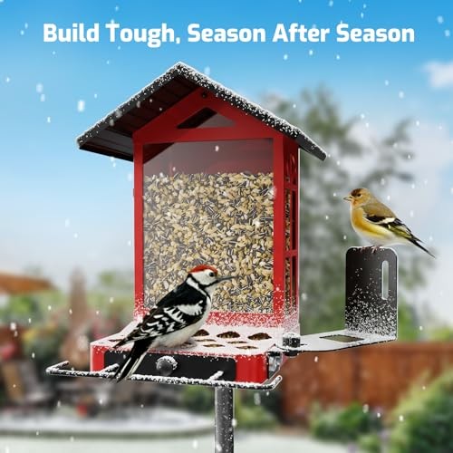 All-Metal Bird Feeder, Wall & Pole Mountable, 2.4L Large Capacity, Heavy-Duty