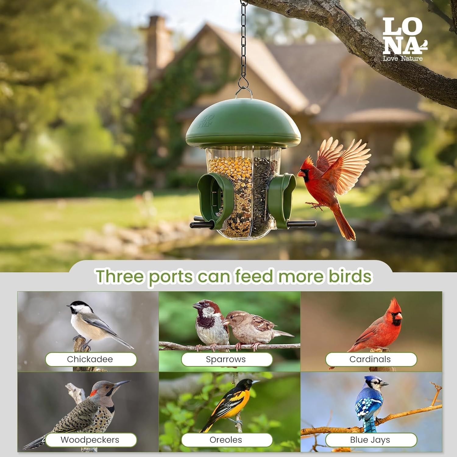 LONA Hanging Bird Feeder – Weatherproof, 3 Ports, 1.7 lb Capacity for Outdoors