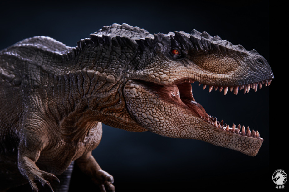 W-Dragon 1/35 Giganotosaurus 1.0 Ver. Dinosaur Statue Animal Collector IN STOCK
