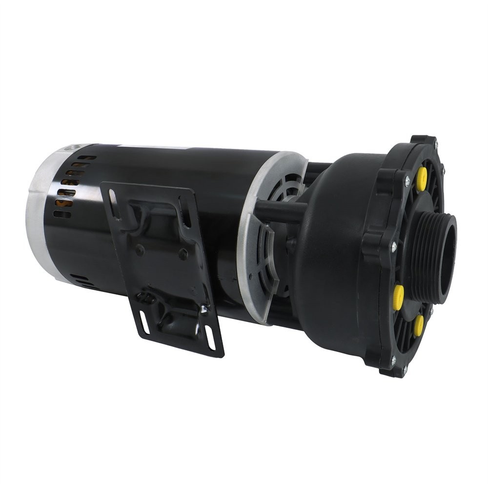 Executive 56-Frame 4HP Dual-Speed Spa Pump, 2in Intake, 2in Discharge