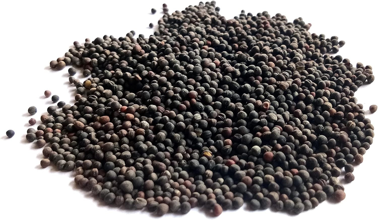 Organic Broccoli MICROGREEN Seeds | Heirloom | Non-GMO | Seeds for Sprouting