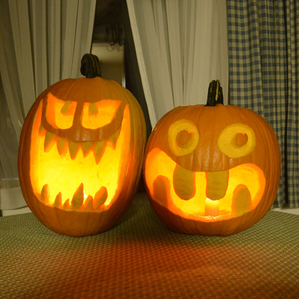 Jack O Lantern Pumpkin Seeds | Carving Pumpkin 10-20 LBS | Free Shipping | 1076