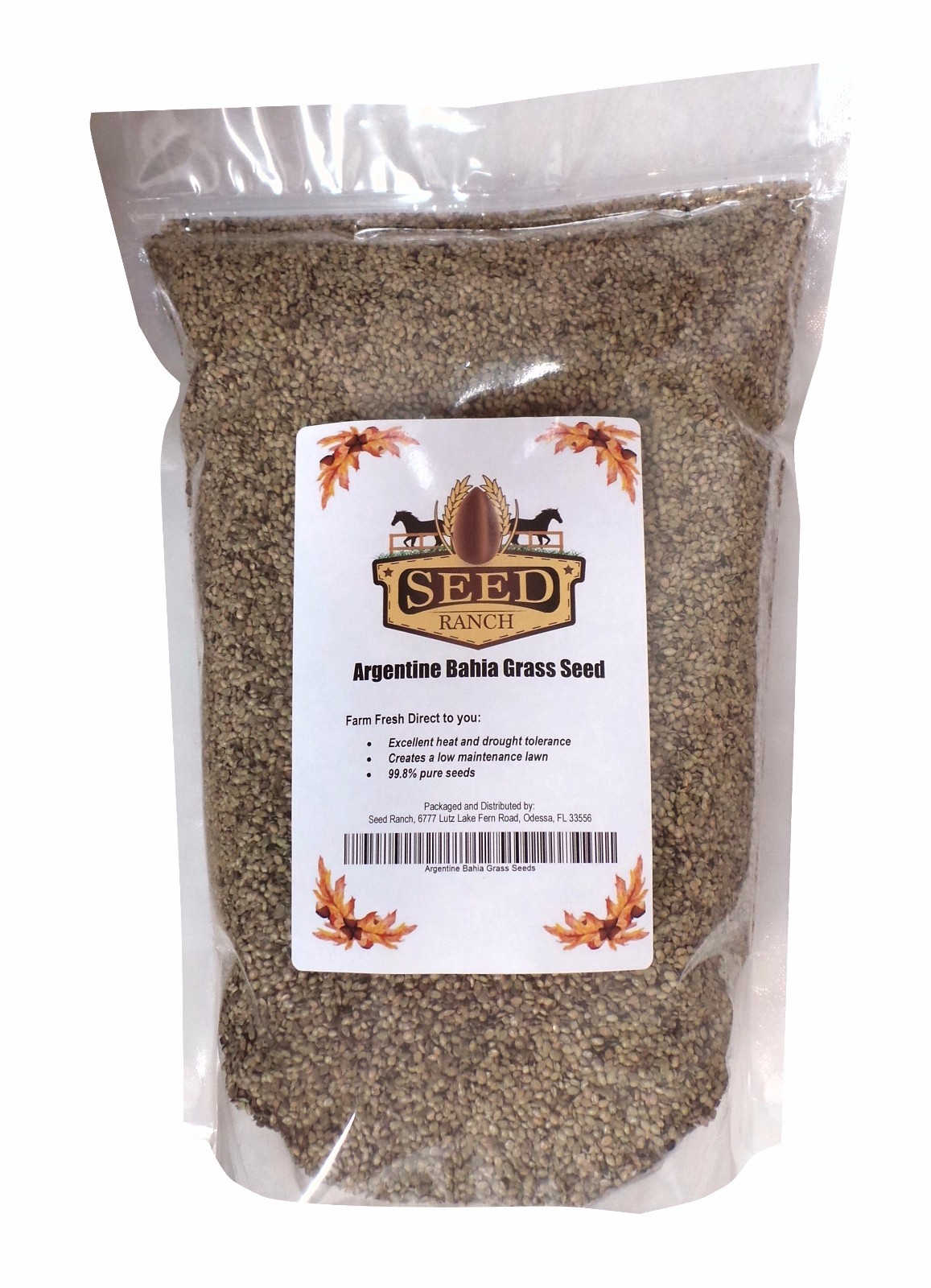 Argentine Bahia Grass Seed Premium Grade – 1 lb.