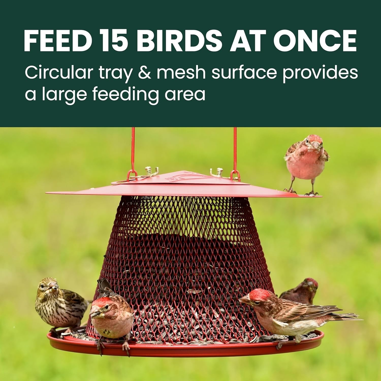 Stylish Red All-Metal Hanging Bird Feeder – 2.5 lb Seed Capacity, Squirrel Proof