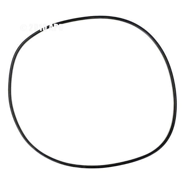 Hayward Body O-Ring CCX1000G