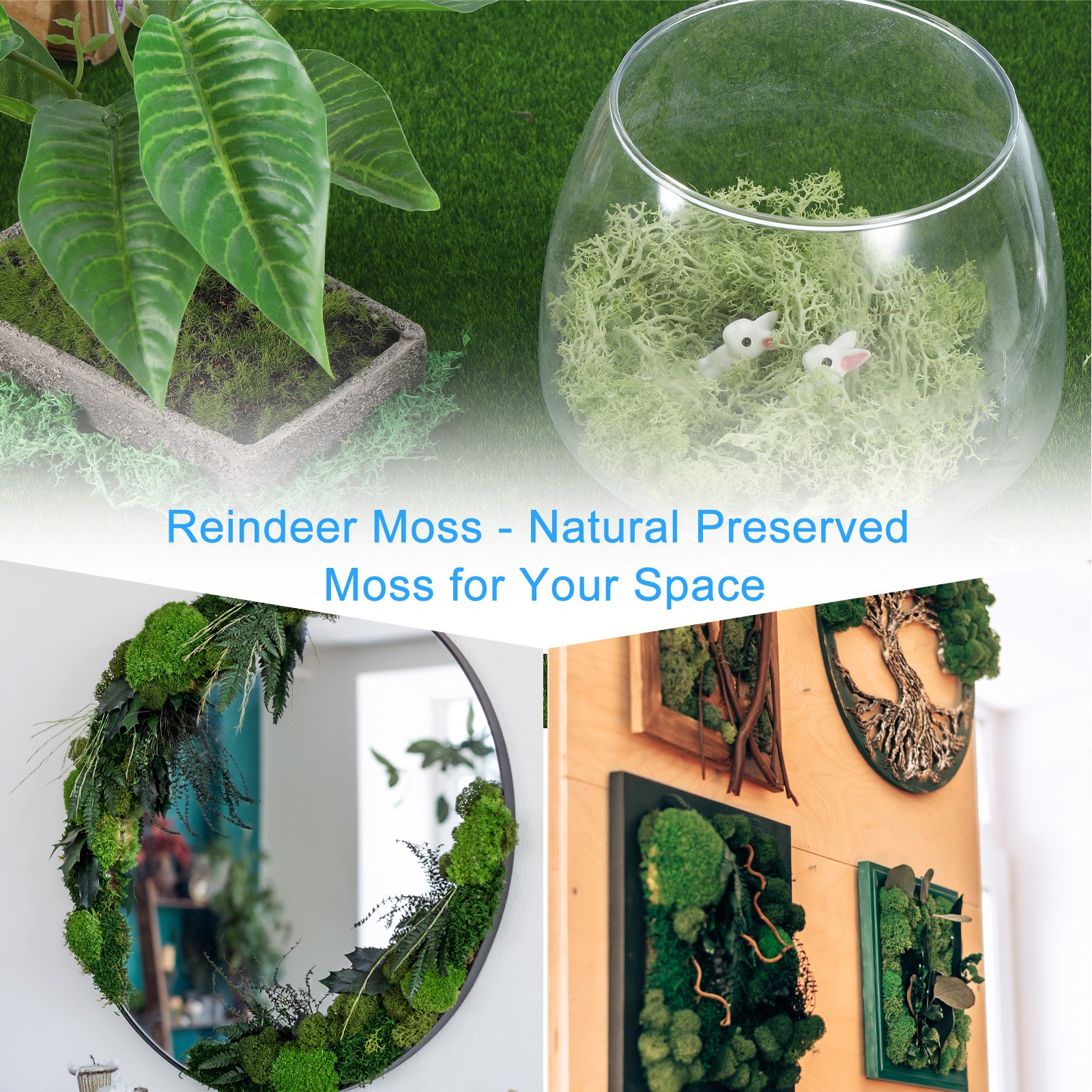 0.35 OZ Moss Preserved Moss Artificial Moss for Craft Floral Project Wine Red