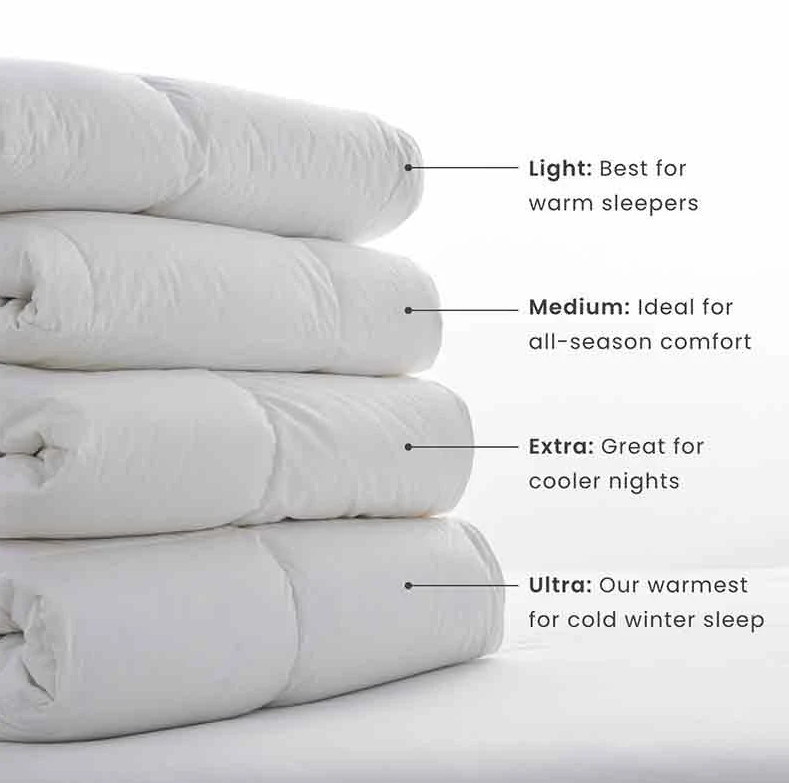 The Company Store LaCrosse Premium Down Light Warmth Comforter Queen/King