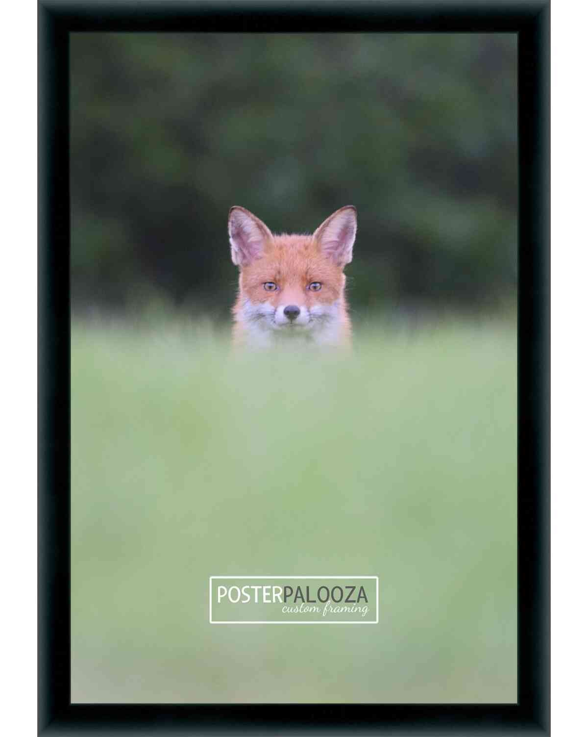 Photo Size Simple Black Picture Frame – UV Acrylic, Backing, Hanging Hardware