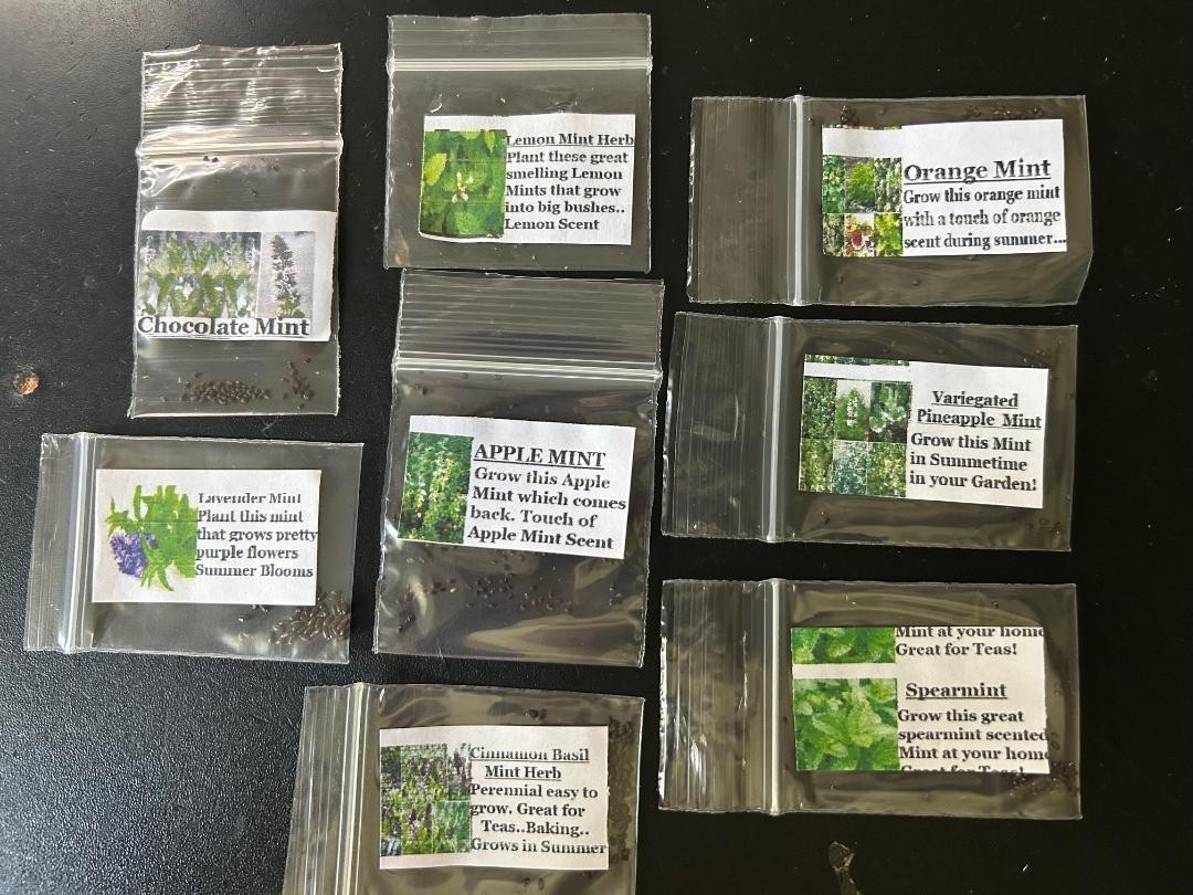 8 Seed Mints: Spearmi/Cinnm/Choc/Lemon/Lavendr/Apple/Orange/Pineapple #26 USA