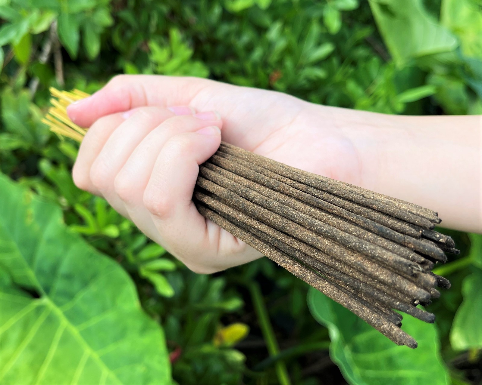 GR Premium Indian Incense Sticks: Pack of 20 (BUY 3 GET 3 FREE!) FREE SHIPPING!
