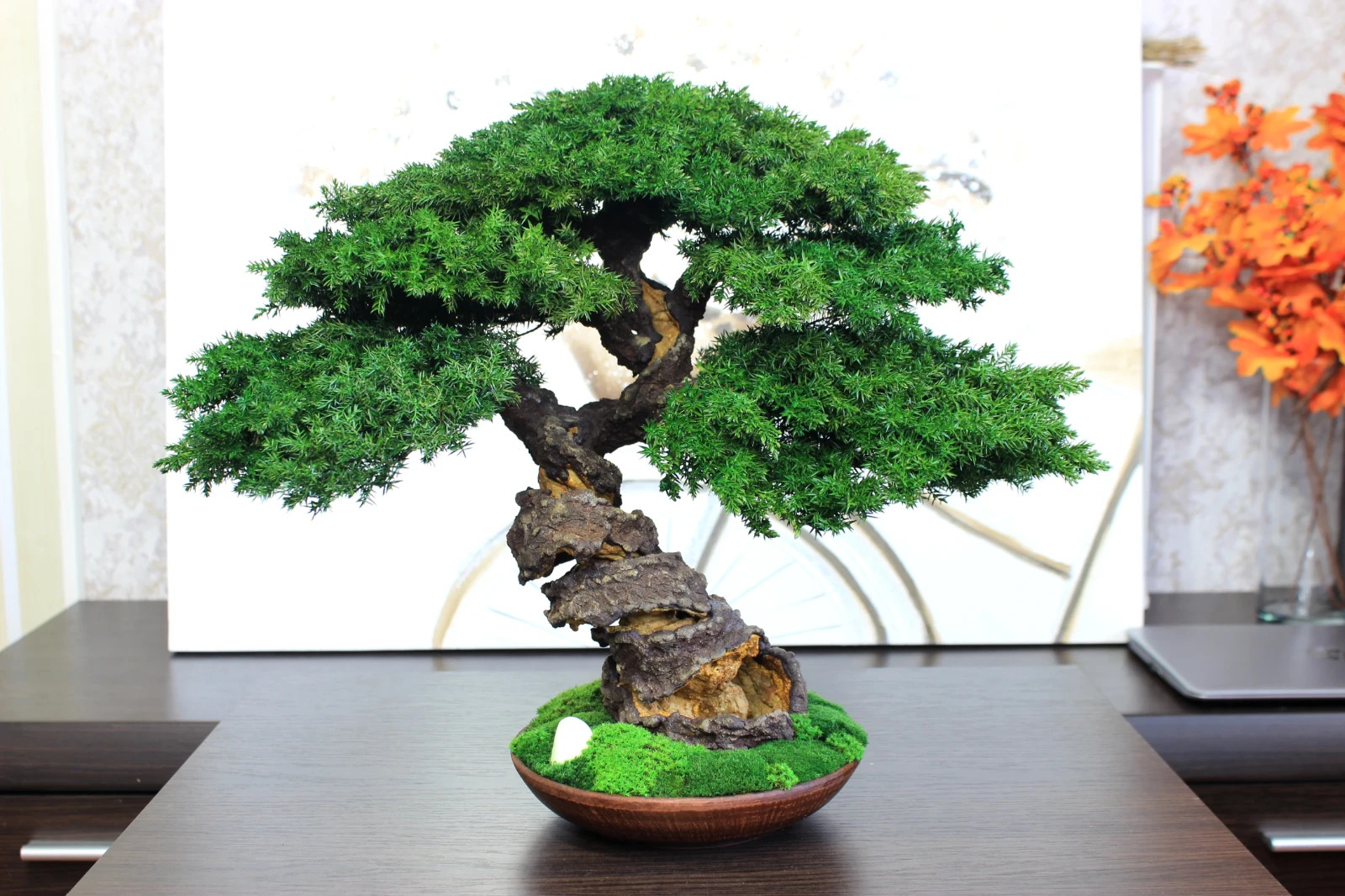 Preserved Juniper Bonsai – Handmade Interior Art Sculpture. 41 cm / 16,14″
