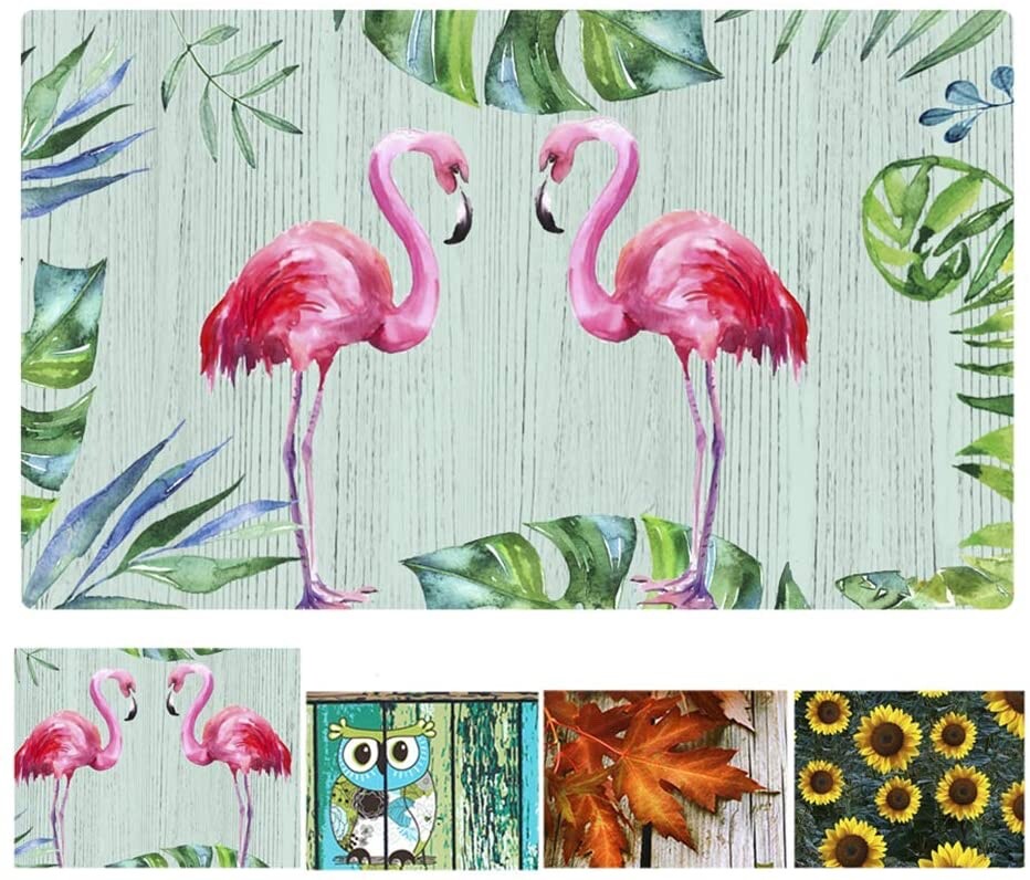 Flamingo Door Mat Indoor Entry Way Doormat for Front Door Patio Anti Slip Rubber