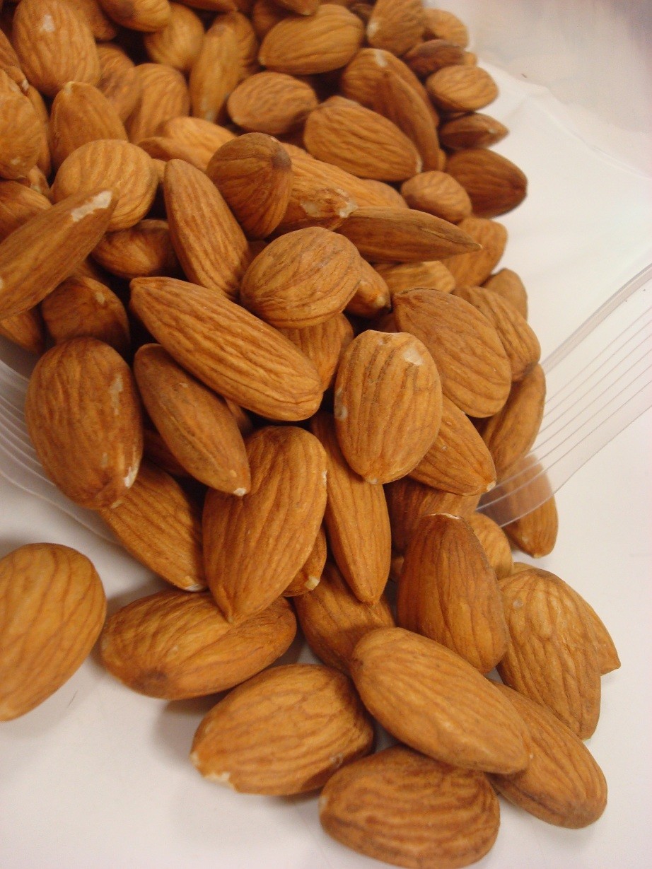 Shelled Raw Almonds NOT PIECES Fresh Resealable Bag 11 oz. to 25 lbs.Agro Sun