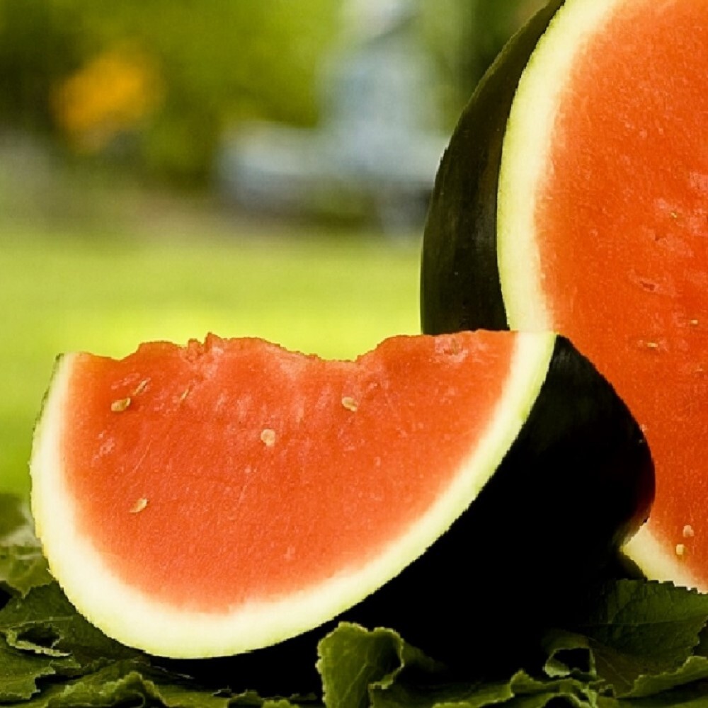 Sugar Baby Watermelon Seeds | NON-GMO | Heirloom | Fresh Garden Seeds
