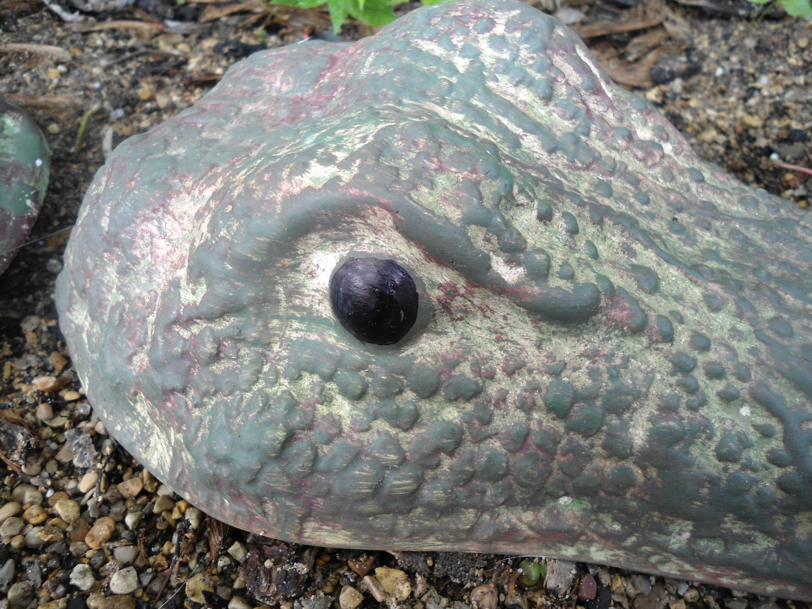 Alligator gator concrete mold 070 abs plastic 34″ Total plaster cement mould