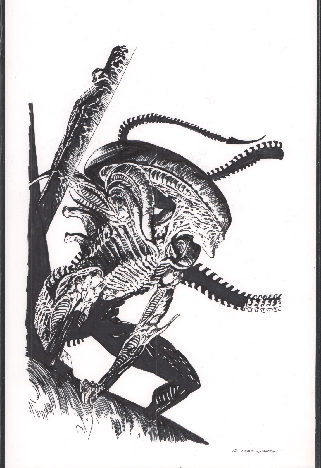Alien Xenomorph Original art sketch Aliens Comic Unknown Artist Darke Horse