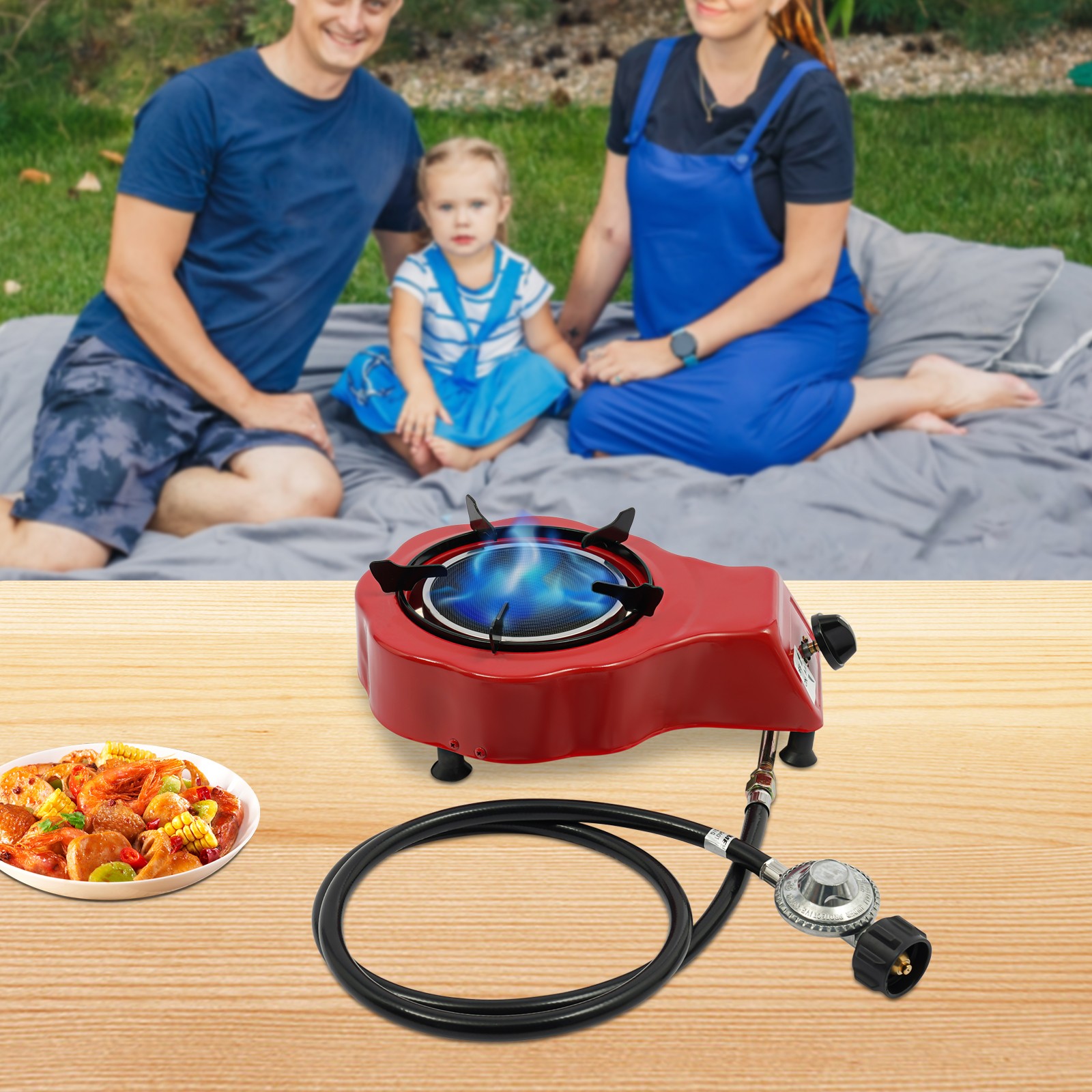 Single Burner Gas Stove, Portable Gas Stove, Gas Stove