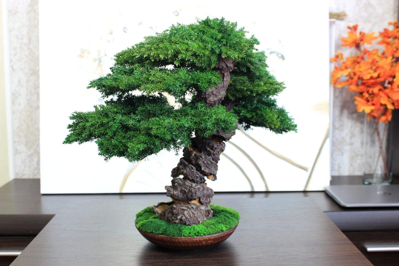 Preserved Juniper Bonsai – Handmade Interior Art Sculpture. 41 cm / 16,14″