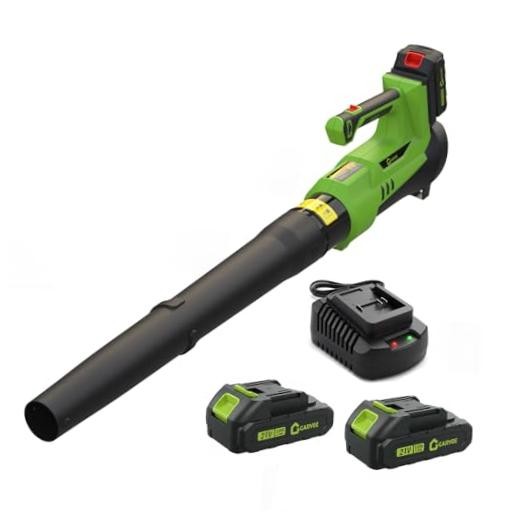 Cordless Leaf Blower, 6-Variable Speed, 550CFM & 130MPH, Electric Leaf Green