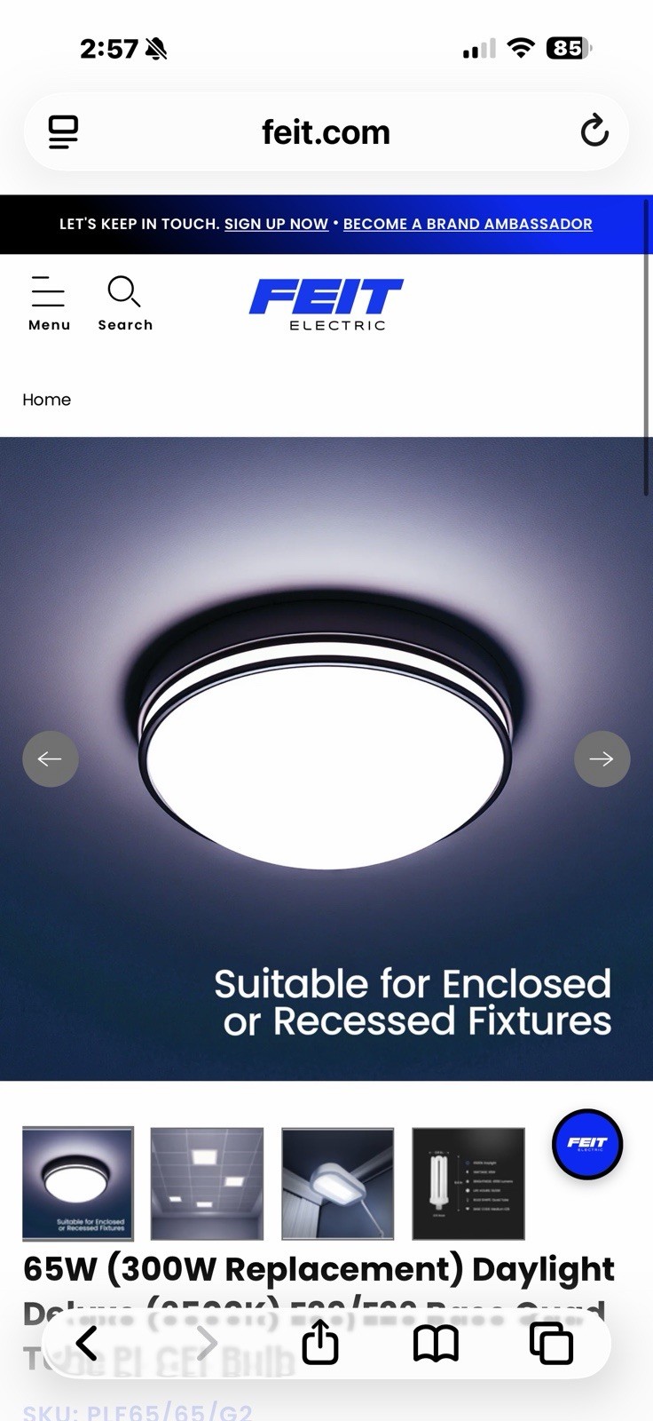 Feit 65 W PL 3.12 in. L CFL Bulb Daylight Utility 6500 K
