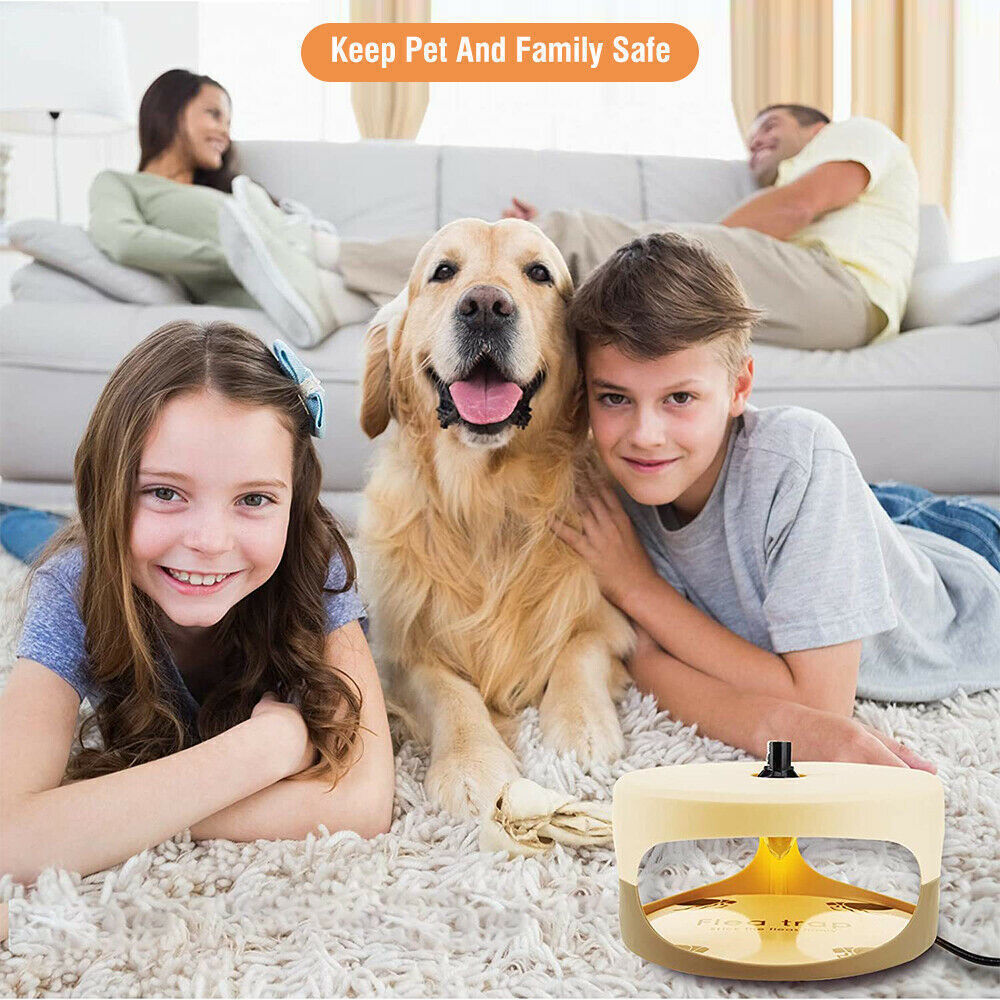 Flea Traps for Inside Your Home with 2 Sticky Disc & 2 Bulbs & 1 Electric Wires