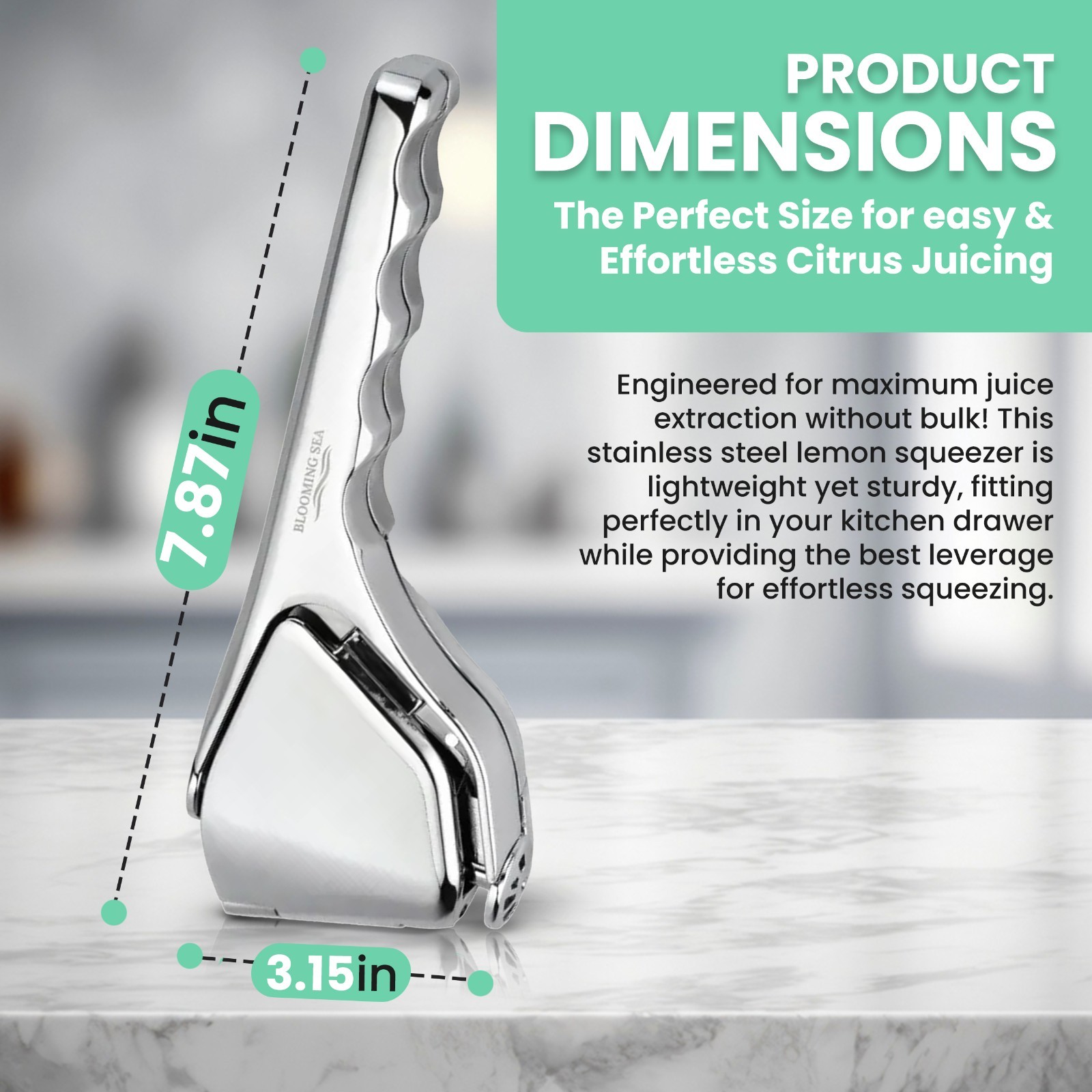 Blooming Sea Lemon Squeezer – Compact & Heavy-Duty Citrus Press Juicer