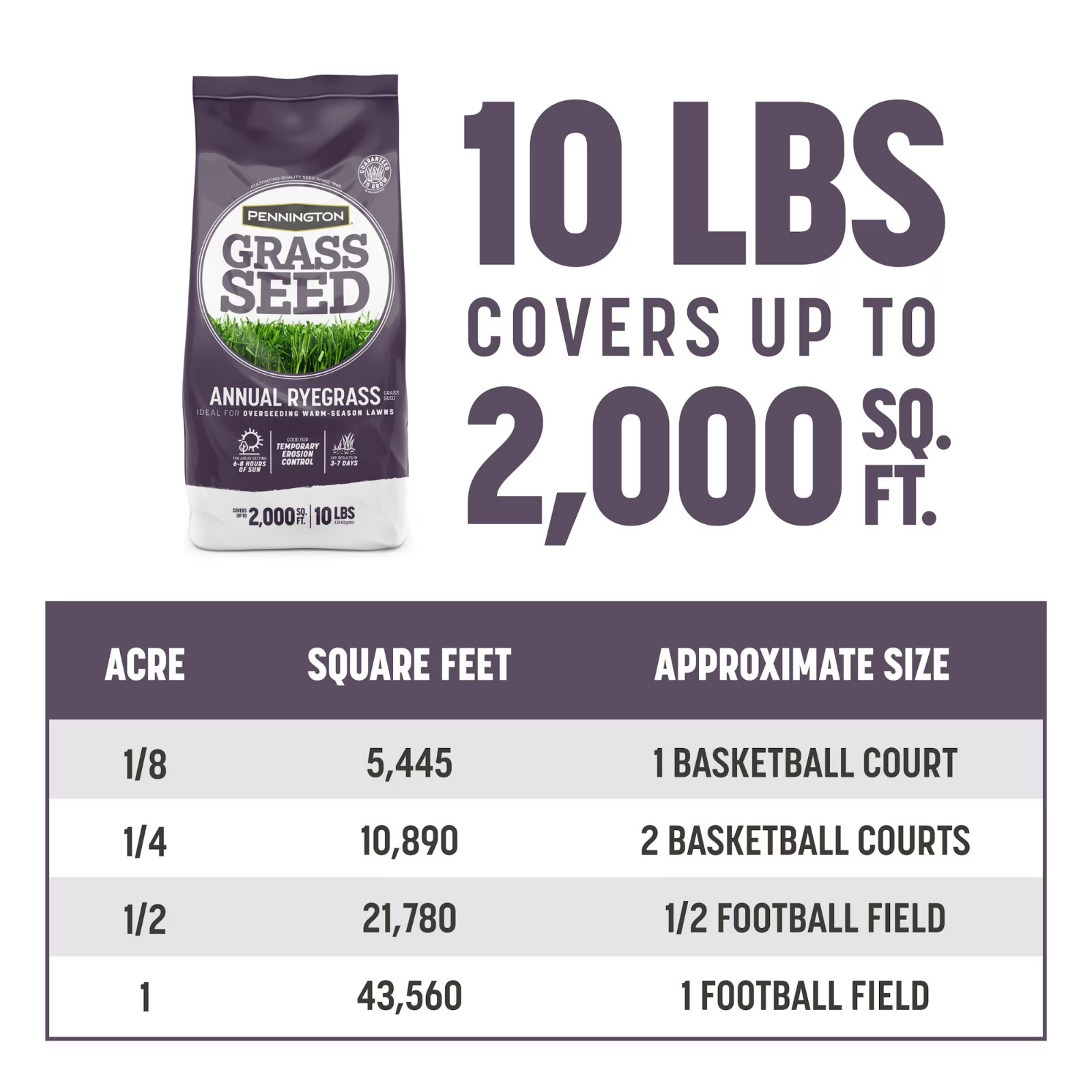 Pennington Annual Ryegrass Grass Seed Full Sun Partial Shade 10 lb Bag New