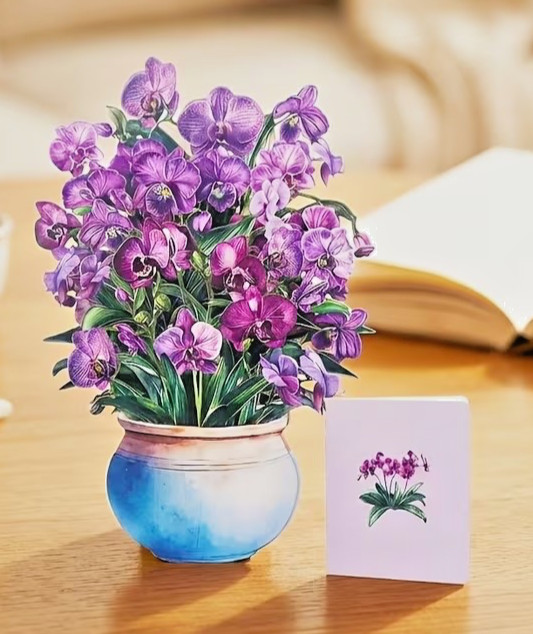 3D Pop-up All Occasions/ Birthday, WITH NOTE CARD