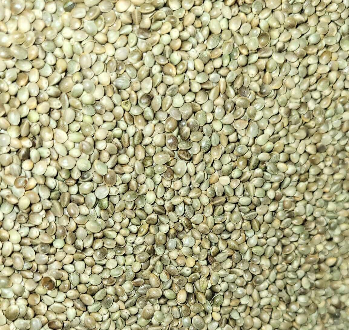 Premium Kosher Hemp Seed Nuts – 100% Food Grade & Nutrient-Rich!