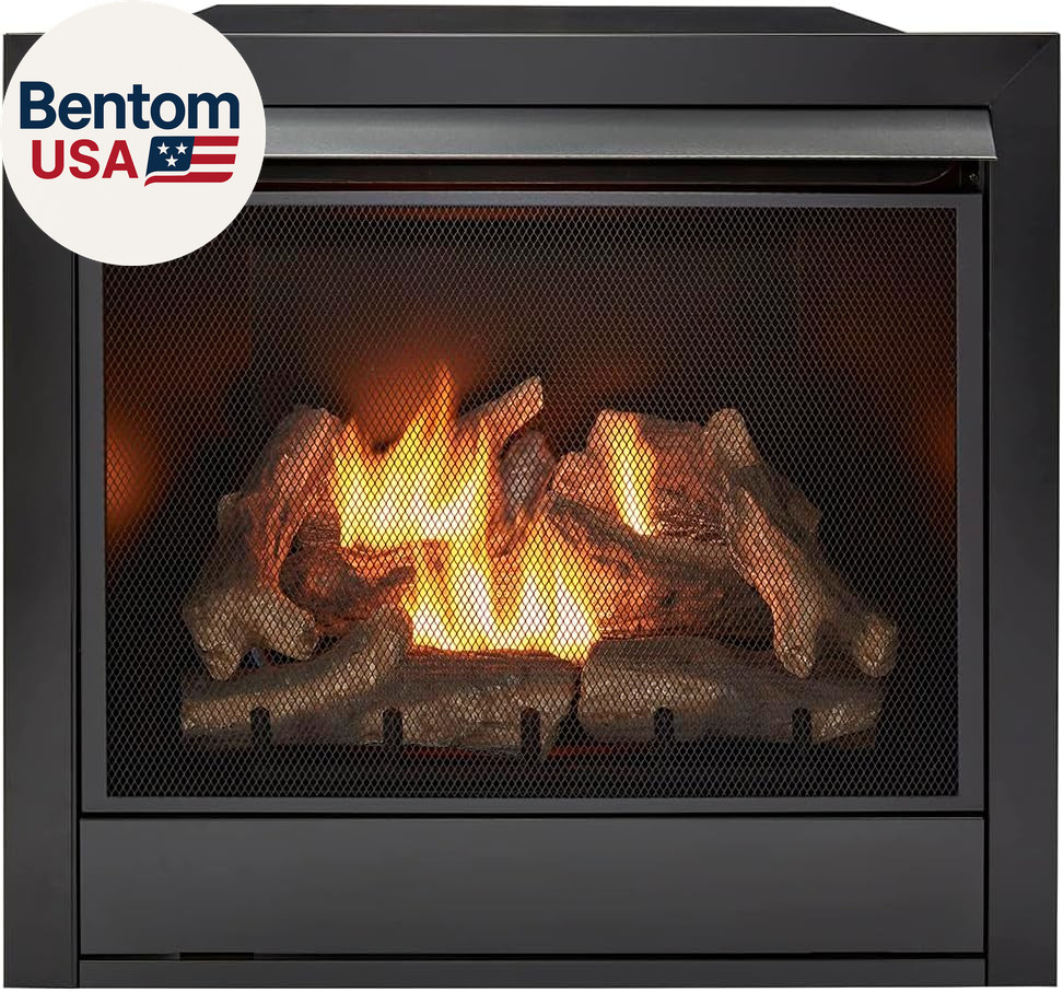 Dual Fuel Ventless Gas Fireplace Insert, Remote Control, 9 Fire Logs, Use with N