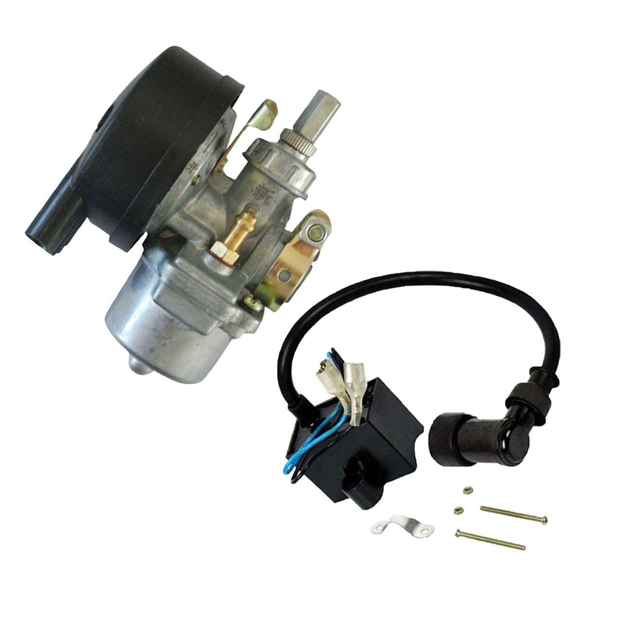 Bike Engine Carburetor For 2 Stroke 49cc 50cc 60cc 66cc 80cc Bicycle Motorized E