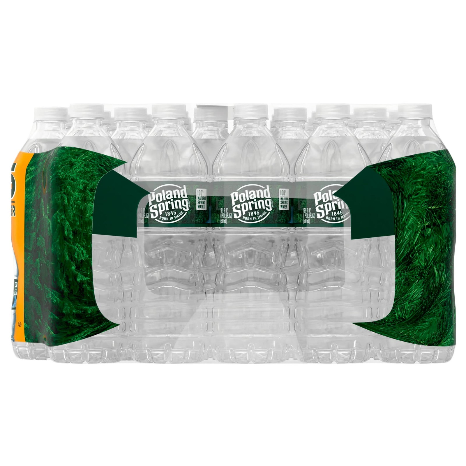 Poland Spring 100% Natural Spring Water, 16.9 Fl Oz (24 Pack)