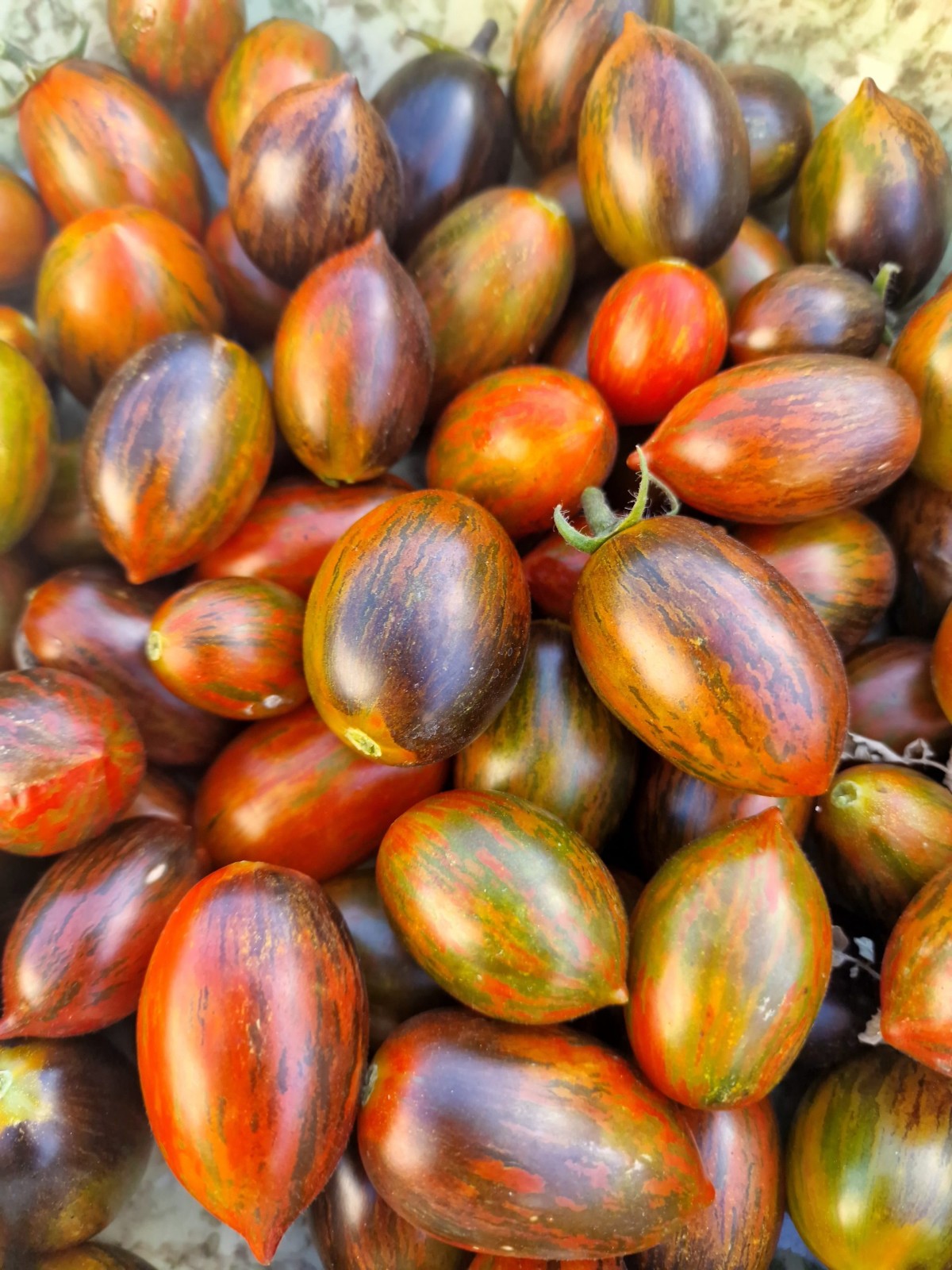 Brad’s Atomic Grape Tomato 25 Seeds Non-GMO