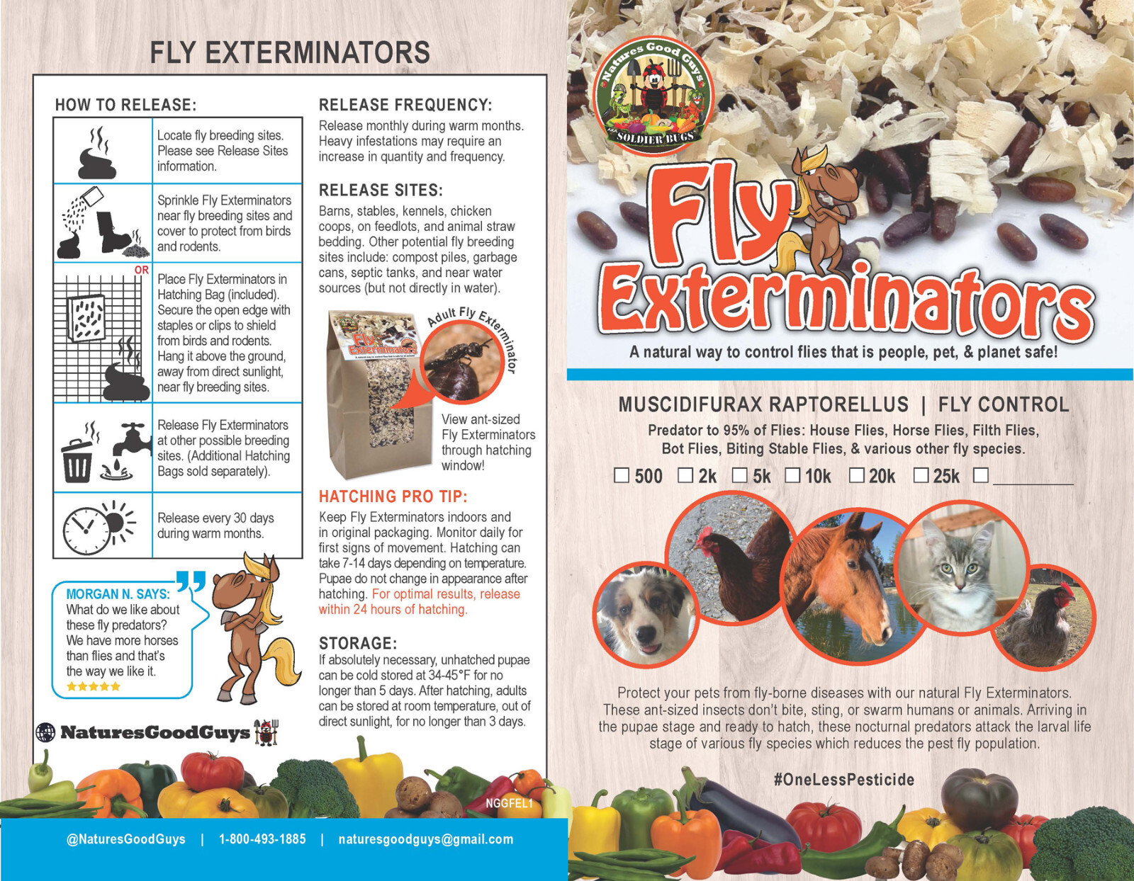 NaturesGoodGuys – Fly Exterminators