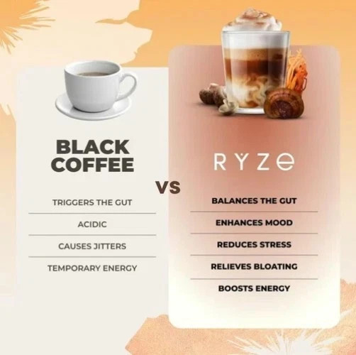 Authentic RYZE MUSHROOM Coffee Bright & Smooth Gut Health Supplement 30 Servings