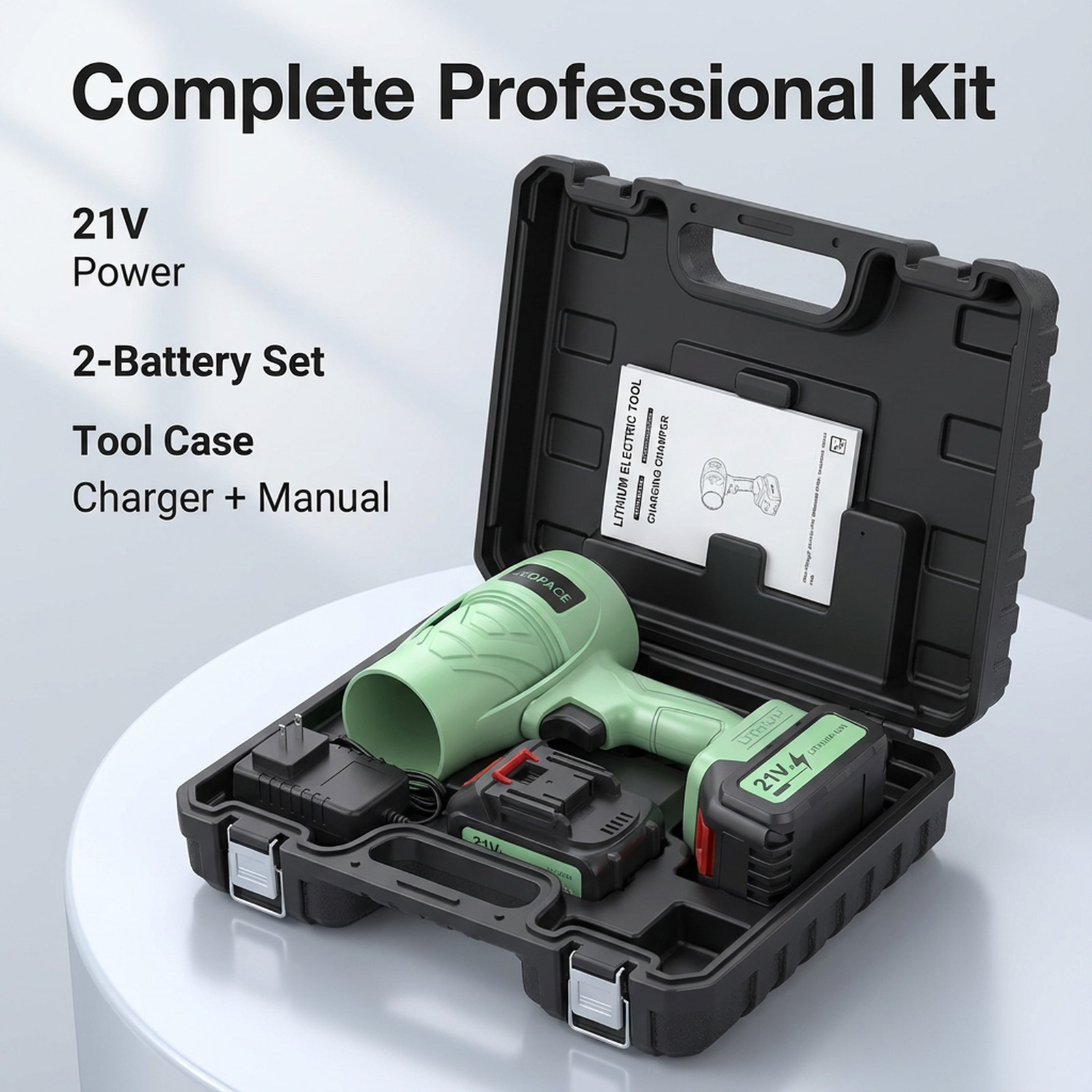 21V Portable Leaf Blower with 2 Batteries & Hard Case Cordless Power Blower