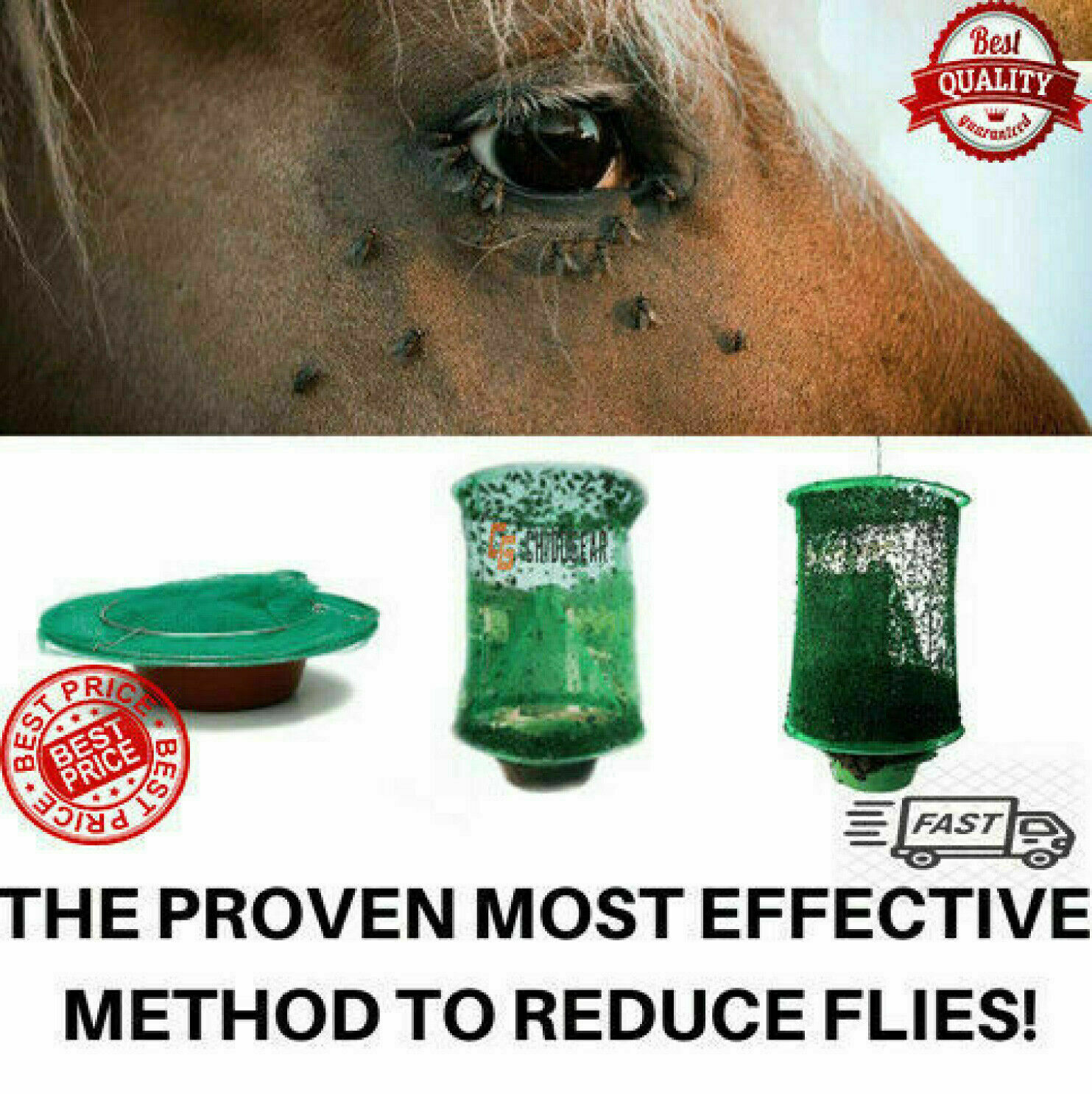 4 Pcs The Ranch Fly Trap Outdoor Fly Trap Killer Bug Net Cage Perfect for Horses