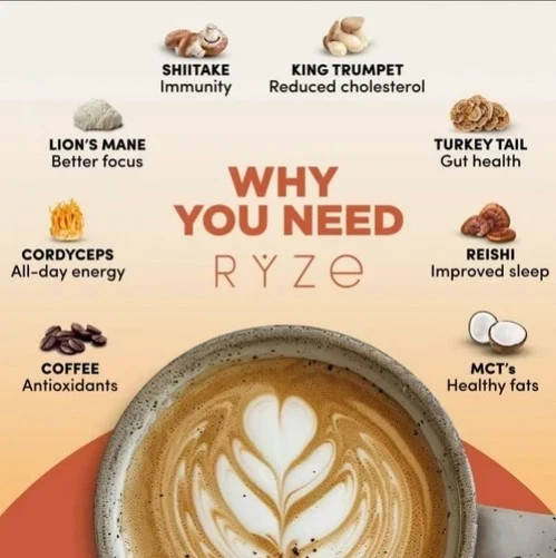 Authentic RYZE MUSHROOM Coffee Bright & Smooth Gut Health Supplement 30 Servings